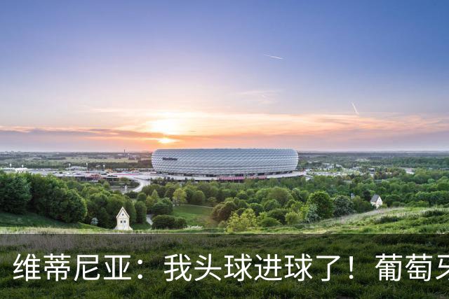 维蒂尼亚：我头球进球了！葡萄牙队的胜利超乎想象！